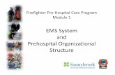 EMS System and Prehospital Organizational Structureprehospitalmedicine.ca/wp-content/uploads/TFS/TFS_mod1_System... · Firefighter Pre-Hospital Care Program Module 1 EMS System and