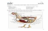 Chapter 3 - CHICKEN ANATOMY AND PHYSIOLOGY ANATOMY AND PHYSIOLOG… · 3.2 A. Digestive system The digestive system uses the nutrients in consumed feed for the maintenance of all