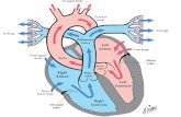 med.bpums.ac.irmed.bpums.ac.ir/UploadedFiles/CourseFiles/آنژین_قلبی__4dbbb5ed.pdf · Angina, pulmonary edema. Also used as an aphrodisiac and erection enhancer. Tachycardia,