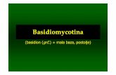 (basidion (grč.) = mala baza, postolje) - Biolozi · red Ustilaginales • Zaražavaju većinu organa domaćina • gar tj. čađ koja nastaje u organima biljaka – teliospore odnosno