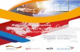 Resumen ejecutivo Benchmarking Internacional - giz.de Audit Renew Energies... · Expansión de la generación de energía eléctrica a partir de fuentes renovables Resumen ejecutivo