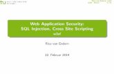 Web Application Security: SQL Injection, Cross Site ... fileRico van Endern: w3af w3af - Demo 2/ 21 Inhaltsverzeichnis 1 Einleitung 2 w3af - De nition 3 SQL-Injektion De nition Angri