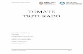 TOMATE TRITURADO - fing.uncu.edu.arfing.uncu.edu.ar/catedras/industrias-1/ano-2013/Tomate Triturado - Informe.pdf · El principal destino exportador de la Argentina es Reino Unido.
