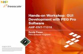 Hands-on Workshop GUI Development with PEG Pro Software · environment for PEG+ and PEG Pro ... For additional details refer to Section 1.5 of the PEG_Windowbuilder.pdf manual. PEG
