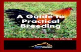 A Guide to Practical Breeding - blakliz.files.wordpress.com · blakliz, and the breeding techniques we applied as example, demonstration and guide to practical breeding. We hope it