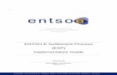 ENTSO-E Settlement Process (ESP) Implementation Guide · THE ENTSO-E SETTLEMENT PROCESS (ESP) VERSION 1.2 94 Revision History Version Release Date Paragraph Comments 1 0 2004-04-29