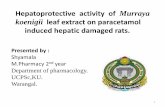 Hepatoprotective activity of Murraya koenigii leaf extract ...… · Hepatoprotective activity of Murraya koenigii leaf extract on paracetamol induced hepatic damaged rats. Presented
