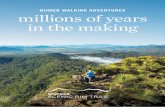 GUIDED WALKING ADVENTURES millions of years in the making · 4 5 DAY ONE - SPICERS TRAILHEAD TO SPICERS CANOPY • Ascend Mt Mitchell • Descend to Spicers Peak Station and Spicers