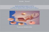 SIALENDOSCOPY - KARL STORZ Endoskope · SialendoScopy The endoscopic approach to Salivary Gland ductal pathologies Francis MaRcHal, Md, FacS Professor of Otorhinolaryngology, Head