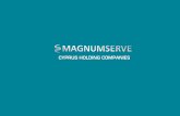 CYPRUS HOLDING COMPANIES - Magnumserve Ltd ·  Confidentiality Confidentiality and Security have become key issues in a world of constantly advancing global communications.