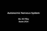 Sympathetic Nervous System - University of the Witwatersrandanatomical-sciences.health.wits.ac.za/gross-anat/Autonomic Nervous System-2015.pdf · Receive preganglionic fibres T1-
