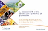 EU assessment of the carcinogenic potential of glyphosate · Overview of glyphosate toxicokinetics and toxicodynamics ... EU assessment of the carcinogenic potential of glyphosate