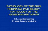 PATHOLOGY OF THE SKIN. PERINATAL PATHOLOGY, PATHOLOGY OF ...ustavpatologie.upol.cz/_data/section-1/416.pdf · PATHOLOGY OF THE SKIN. PERINATAL PATHOLOGY, PATHOLOGY OF THE NEWBORN
