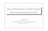 Recent Developments on Multi-Channel Blind System ... · Recent Developments on Multi-Channel Blind System Identiﬁcation (BSI) K. Abed-Meraim ENST PARIS, Signal and Image Processing