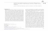 David I. Little, Kay Holtzmann, Erich R. Gundlach, and ... · Sediment Hydrocarbons in Former Mangrove Areas, Southern Ogoniland, Eastern Niger Delta, Nigeria 14 David I. Little,