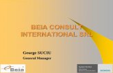 BEIA CONSULT INTERNATIONAL SRL - shiva.pub.ro · efficiency in existing aeolian and solar solar parks ... Sistemul telemetrie - monitorizare a nivelului si temperaturii apei pe Dunăre