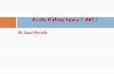 Acute Kidney Injury ( AKI ) - msic.ly Acute Kidney Injury It is a syndrome that rarely has a sole and distinct pathophysiology . Many patients with AKI have a mixed aetiology where