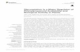 Glycosylation Is a Major Regulator of Phenylpropanoid ... fileLe Roy et al. Glycosylation Regulates Phenylpropanoid Activities in Plants. pathogens including viruses, fungi, nematodes