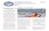 SPAWNING - SSRAA · SSRAA Spawning News is published by the Southern Southeast Regional Aquaculture Association, a private, non-profit aquaculture corporation based in Ketchikan,