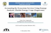Accounting for Ecosystem Services Using Emergy Analysis ... Wednesday/3... · Accounting for Ecosystem Services Using Emergy Analysis: Florida Energy Crops (Sugarcane) HENDRY COUNTY