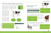 The Science Behind High Sugar Grasses - Joseph Morton Science behind... · (Aber®HSG) provide more available energy soon after forage enters the rumen, allowing rumen microbes to