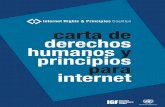 Internet Rights & Principles Coalition carta de derechos ... · de la Carta a la luz de la creciente preocupación pública nacional e internacional respecto de la protección y el