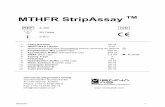 MTHFR StripAssay TM - amplitech.net · MTHFR StripAssay TM. 4-350 . 20 Tests . 2-8°C . 1. Lysis Solution 50 ml . 2. GENXTRACT Resin 5 ml . Resuspend each time . immediately before