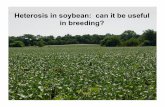 Heterosis in soybean: can it be useful in breeding? · Heterosis and Inbreeding Depression • F 1 is rarely compared to the parents or F 2 • Progeny in the F 2 and later generation