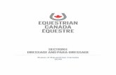 SECTION E – DRESSAGE - equestrian.ca · CLEAN COPY EDITION . This document contains the final text effective January 1, 2019. Amended June 12, 2019. Subsequent changes are noted
