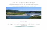 The Ayu of Nagara River System - Food and Agriculture ... · The Ayu of Nagara River System -The Connection Between Ayu and the People of the . Satokawa - Conservation of the Registered