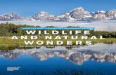 DENVER TO ROCKY MOUNTAIN AND YELLOWSTONE AND … · 42 colorado journal 2019 photos by courtesy photos by courtesy from xxxx, to xxxx xxx miles wildlife & natural wonders el paso,
