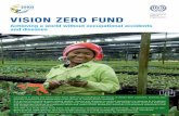 VISION ZERO FUND - ilo.org · Launched in 2015, the Vision Zero Fund (VZF) is an initiative of the Group of Seven (G7) countries, and has also recently received the endorsement of