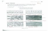  · Chapter 3 Cells and Tissues BODY TISSUES Twelve tissue types are diagrammed in Figure 3—9, Identify each tissue type by inserting the correct name in the blank below it on the