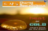 Setember 2013 – Volume 06, Issue 03 · 4 CNSNewsletter September 2013 2013 International Graduate Program Medical Neurosciences FOCUS Hyperthermia in Neuroleptic Malignant Syndrome