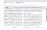 Rejuvenation of the Midface - thieme-connect.de filefacial rejuvenation Abstract In this article, the interested reader will learn when and how to apply different techniques on their