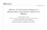 Effects of Processing Delays on Global Gene Expression ... · Effects of Processing Delays on Global Gene Expression Patterns in PBMCs Michael Barnes, PhD Director, Cincinnati Biobank