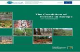 ˜ e Condition of Forests in Europeicp-forests.org/pdf/ER2007.pdf · The ICP Forests and the European Commission wish to express their appreciation to all persons and insti-tutions