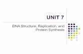 Unit 7-DNA Structure, Replication, and Protein Synthesis copy · Section 3 Objectives Describe the difference between DNA and RNA. Define transcription. Define translation. Apply