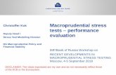 Christoffer Kok Macroprudential stress tests – performance 1 - ECB - performance... · RubricUse as rubric line or delete on slide master Stress testing for macroprudential (and