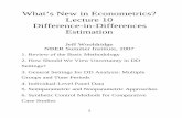What’s New in Econometrics? Lecture 10 Difference-in ...users.nber.org/WNE/Slides7-31-07/slides_10_diffindiffs.pdf · What’s New in Econometrics? Lecture 10 Difference-in-Differences