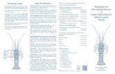 Florida Fish and Wildlife Conservation Commission ... · Printed by Florida Keys National Marine Sanctuary: 06/2018 This is not an official publication of lobster season rules and