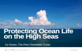 Protecting OceanLife ontheHighSeas · Ageographically defined marine area where human activities are regulated, managed, or prohibited in order to afford comprehensive protection.