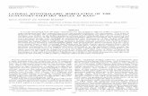LATERAL HYPOTHALAMIC MODULATION OF THE GUSTATORY … · The Journal of Neuroscience Hypothalamic Modulation Gustatory-Salivary Reflex 1209 glionic parasympathetic fibers innervating