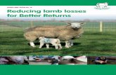 SHEEP BRP MANUAL 14 Reducing lamb losses for Better Returns · BRP Project Manager 1 Contents 2 When do losses occur? 3 Why do losses occur? 4 Choice of production system 6 Match
