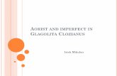 AORIST AND IMPERFECT IN GLAGOLITA CLOZIANUS fileAORIST AND IMPERFECT Both are simple past tenses. The difference in meaning between them is in completeness of the past action. Their