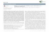 Alpha-tocopherol inhibits pore formation in oxidized bilayerspirun.ku.ac.th/~fscijsw/publications/Boonnoy_PhysChemChemPhys2017.pdf · Alpha-tocopherol inhibits pore formation in oxidized