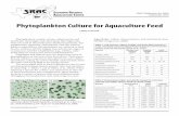 VI Phytoplankton Culture for Aquaculture Feed · Algal cells from a starter culture are inoculated into a larger volume of treated, enriched water to reach an initial low density