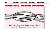 Wire Rope Inspection and Examination - Chudovmanuals.chudov.com/Grove-Rough-Terrain-Crane/Wire-Rope-Inspection.pdf · R. Verreet & W. Lindsay, Wire Rope Inspection and Examination,