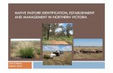 NATIVE PASTURE IDENTIFICATION, ESTABLISHMENT AND ... · Summary • MyBackground • Native Pasture Identification – Common native pasture plants, key characteristics • Native