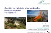 Gestión de habitats silvopastorales mediante quema o desbroce · Recuperación pastos o hábitats de especies amenazadas en pastos de montaña Recuperación pastos: Agents Rurals